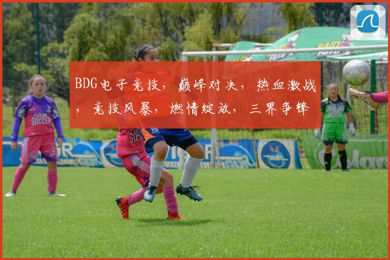 BDG电子竞技，巅峰对决，热血激战，竞技风暴，燃情绽放，三界争锋，一触即发